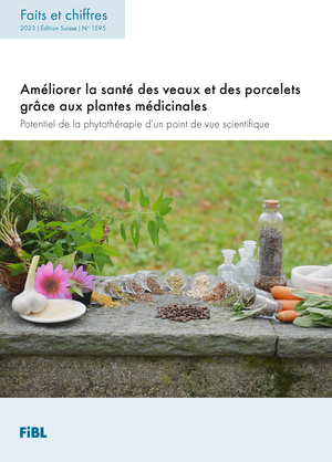 Améliorer la santé des veaux et des porcelets grâce aux plantes médicinales