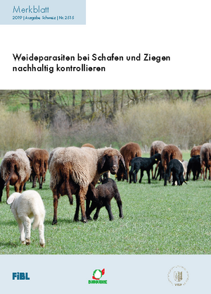 Weideparasiten bei Schafen und Ziegen nachhaltig kontrollieren