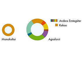 Zwei Kuchendiagramme zeigen in bunten Farben, dass diversifizierte Anbausysteme mehr Ertrag bringen als Monokultur.