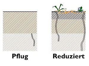 Schematische Darstellung reduzierte Bodenbearbeitung