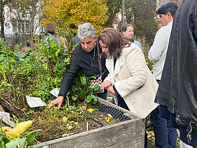 A man and a woman are looking at plants in a raised bed.