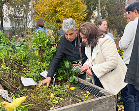 Ein Mann und eine Frau hcauen auf Pflanzen in einem Hochbeet.