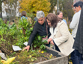 A man and a woman are looking at plants in a raised bed.