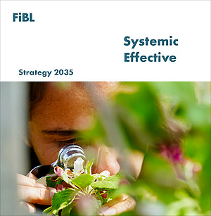 Cover of the strategy brochure.