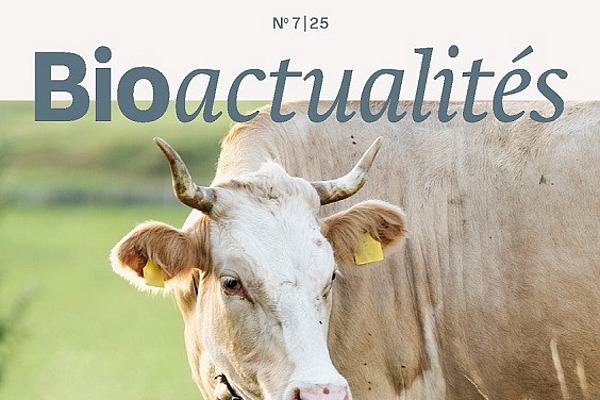Page de titre du Bioactualités 7/25.