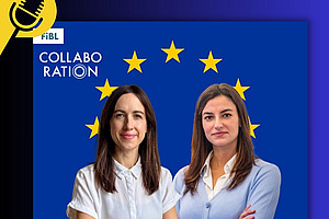 Two women in front of EU stars. 