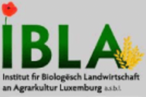 Logo IBLA
