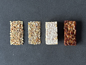 Four different types of tempeh.