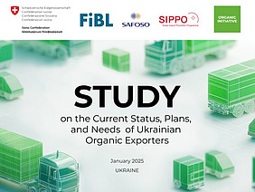 Cover page of the study.
