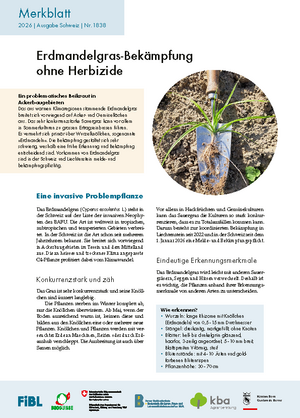 Erdmandelgras-Bekämpfung ohne Herbizide