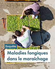 Deux jeunes personnes sont accroupis sur un tableau avec de petites plantes. Il y a du soleil. Les personnes portent des t-shirts.