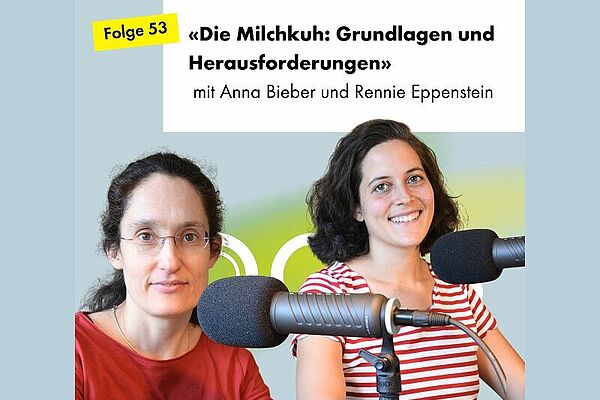 Zwei Frauen an Podcast-Mikrofonen