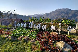 Ein "Love Organic" Schild in Mitten von Pflanzen, im Hintergrund Berge
