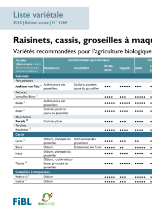 Liste variétale groseilles, cassis et josta