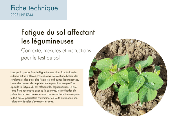 Cover: Fatigue du sol affectant les légumineuses