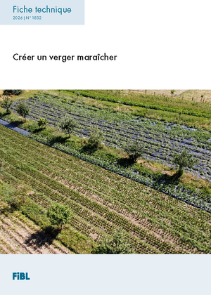 Créer un verger maraîcher