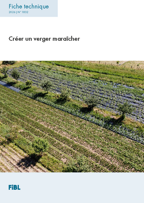 Fiche technique : Créer un verger maraîcher.