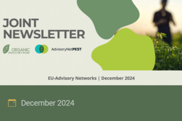 Cover picture of the joint newsletter.