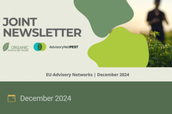 Titelbild des gemeinsamen Newsletter.