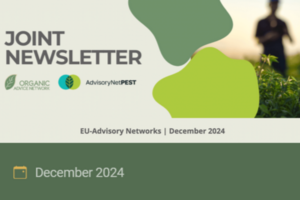 Titelbild des gemeinsamen Newsletter.