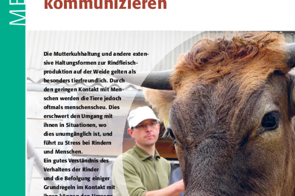 Cover Merkblatt "Erfolgreiches Rinderhandling: wahrnehmen, verstehen, kommunizieren"