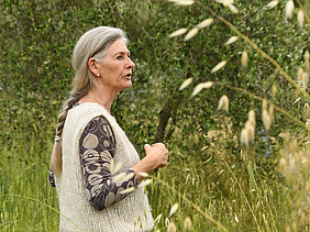 A woman is standing in a cornfield, with an olive tree in the background.