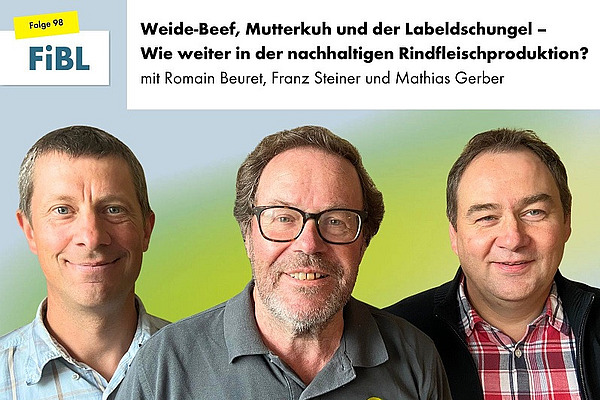 Drei Männer.