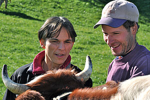 A woman and a man examining a cow