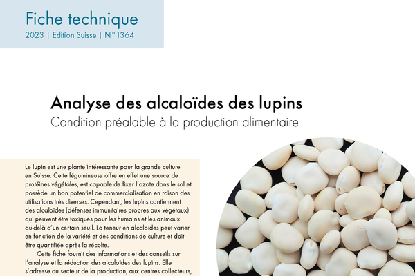 Cover: Analyse des alcaloïdes des lupins