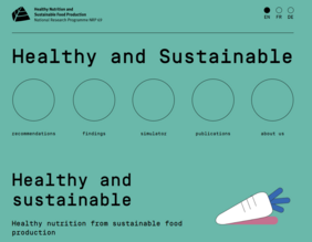 Screenshot Website "Haelthy and sustainable"