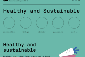 Screenshot Website "Haelthy and sustainable"