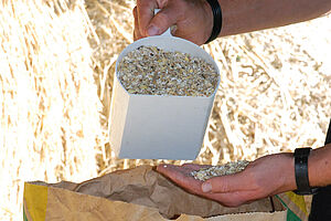 A person measures a feedstuff with a measuring cup