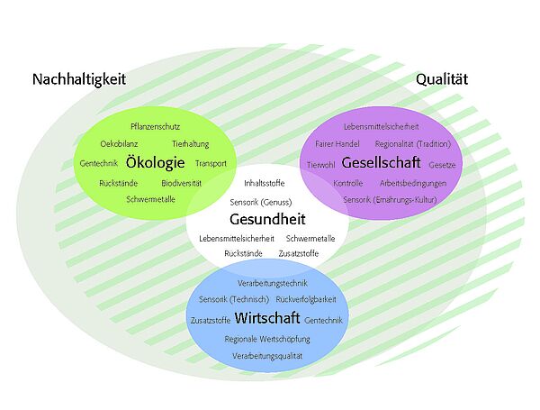 Farbige Kreise und deren Schnittmengen veranschaulichen die verschiedenen Aspekte von Nachhaltigkeit und Qualität