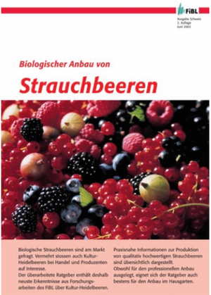 Biologischer Anbau von Strauchbeeren