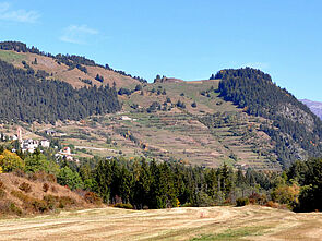 Vielfältige Heckenlandschaft im Unterengadin