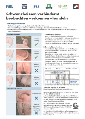 Schwanzbeissen verhindern: beobachten – erkennen – handeln