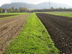 Feld in Streifen mit unterschiedlicher Bodenbearbeitung
