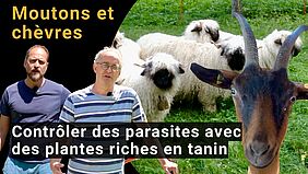 Image de couverture de la vidéo.