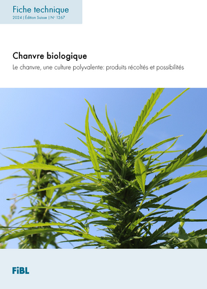 Chanvre biologique