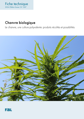 Chanvre biologique