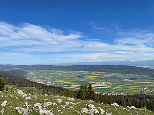 Zu sehen ist ein Tal mit Wäldern sowie grün und gelb blühenden landwirtschaftlichen Flächen.