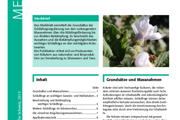 Cover Merkblatt Schädlingsregulierung im Biokräuteranbau