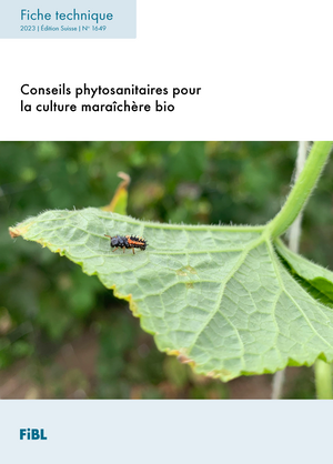 Conseils phytosanitaires pour la culture maraîchère biologique