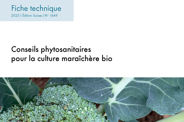 Cover Fiche technique