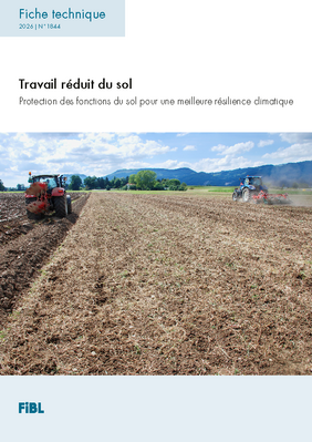 Travail réduit du sol.