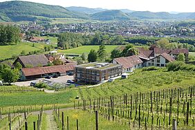 Man blickt einen grünen Hang voller Rebstöcke hinunter auf das halbe Dutzend Gebäude von FiBL und Bio Inspecta. Weiter unten im Tal ist das Dorf Frick zu sehen, dahinter die bewaldeten Jurahügel.