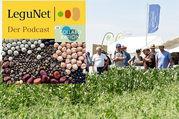 Gruppe auf Acker mit Podcast-Bild.