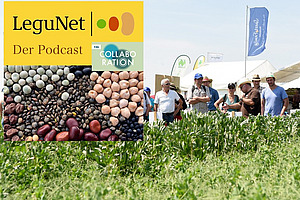 Gruppe auf Acker mit Podcast-Bild.