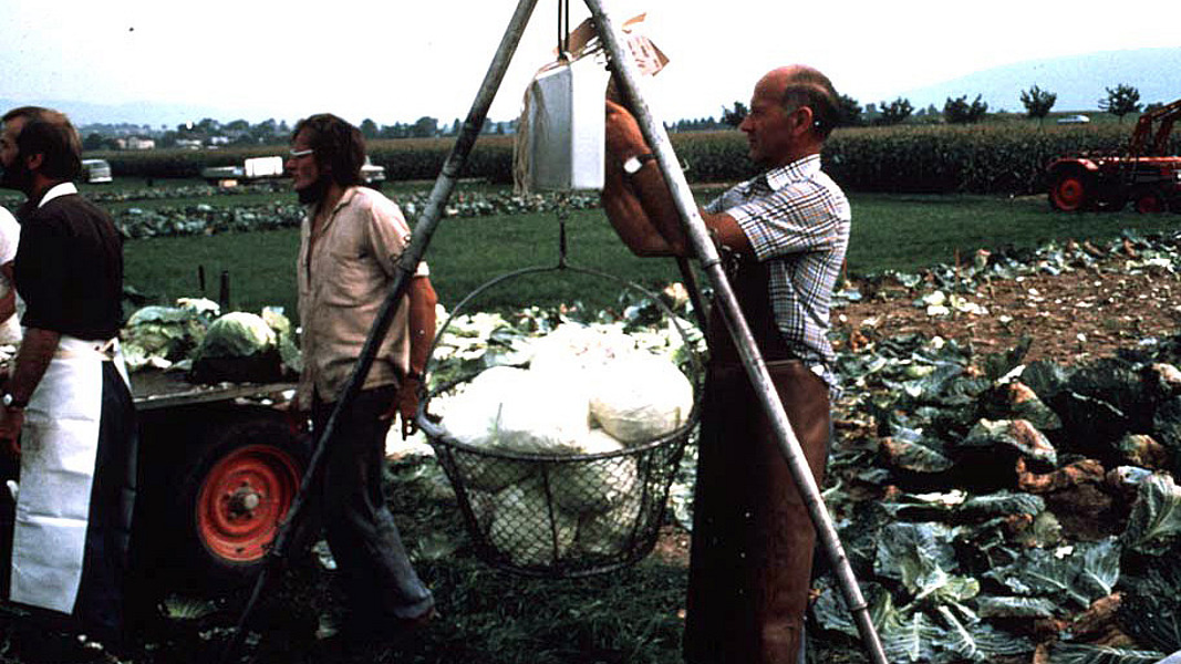 Ricercatori nel campo