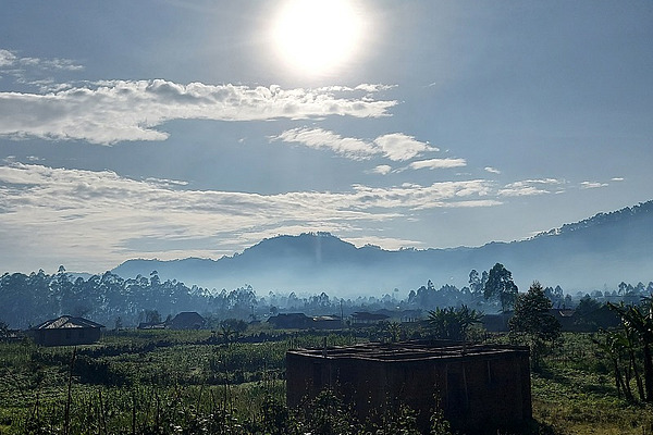 Sunny landscape.